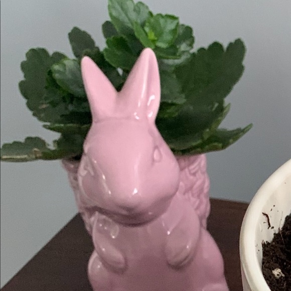aprilbowering